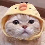 اسماعیل مرزا